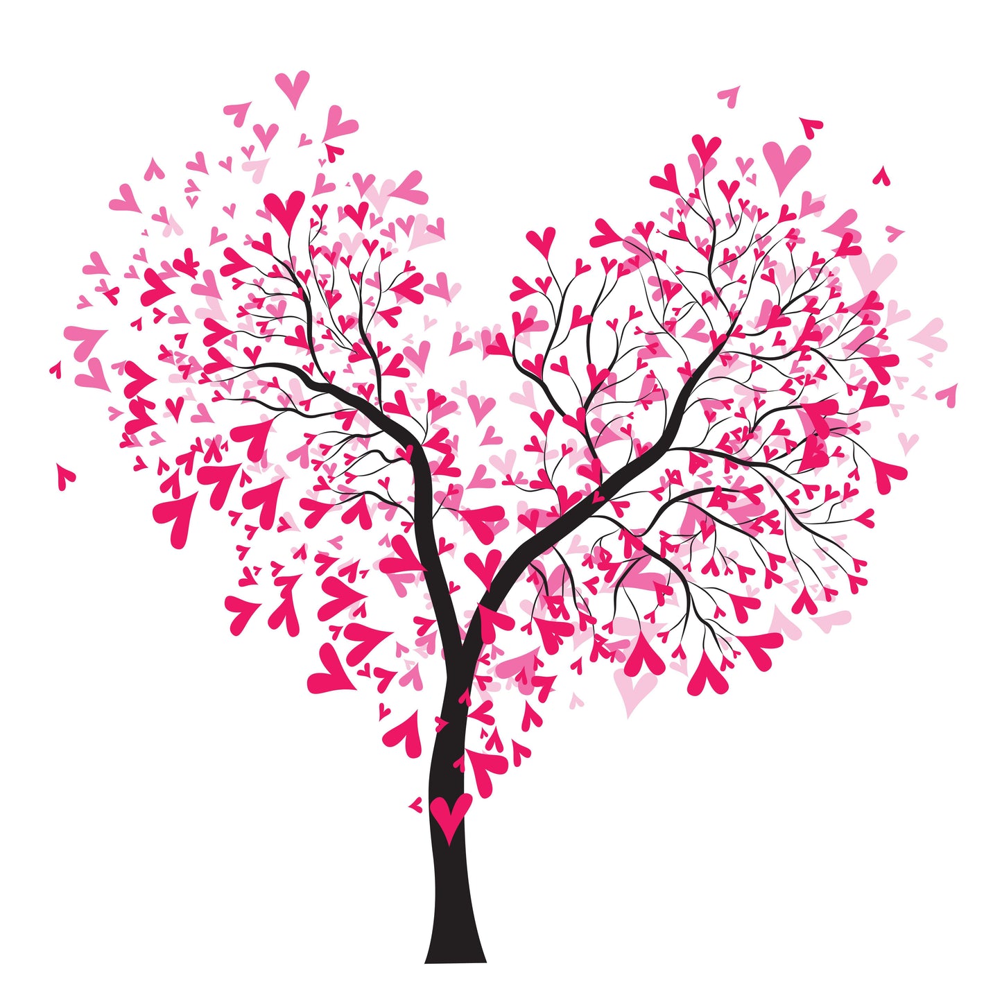 X5 ÉCHANTILLONS N°2