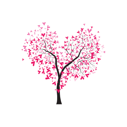 X5 ÉCHANTILLONS DUBAÏ